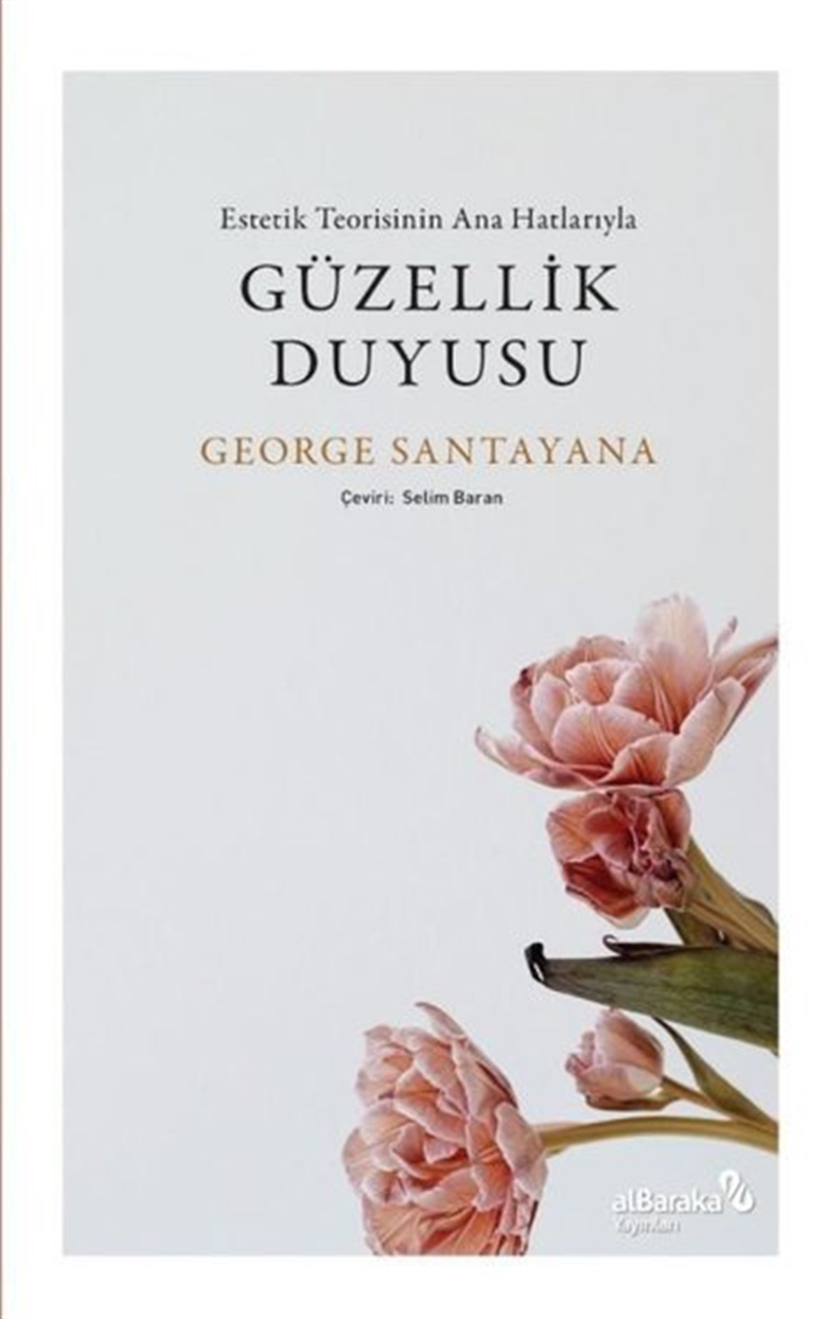 George SantayanaSanat Kuramı KitaplarıGüzellik Duyusu - Estetik Teorisinin Ana Hatlarıyla