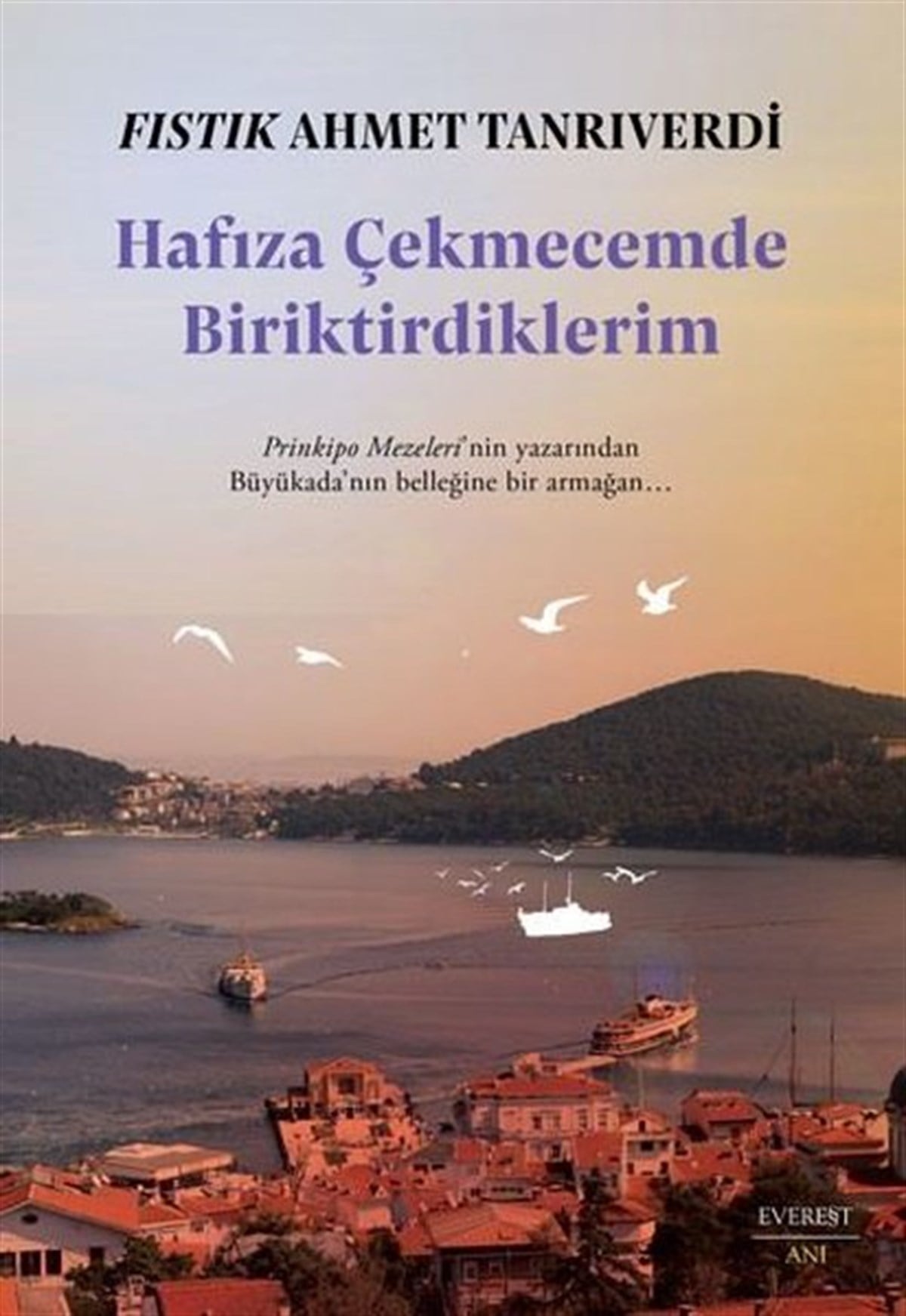 Fıstık Ahmet TanrıverdiAnı & Mektup & Günlük KitaplarıHafıza Çekmecemde Biriktirdiklerim