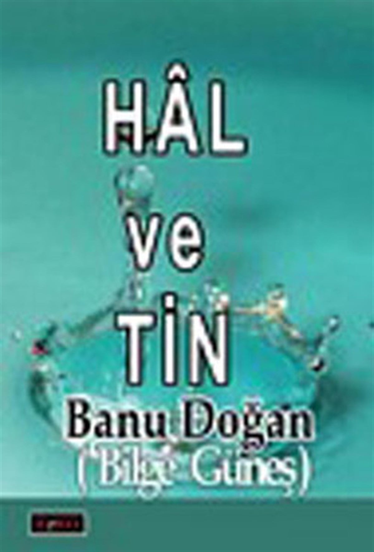 Banu DoğanDeneme KitaplarıHal ve Tin