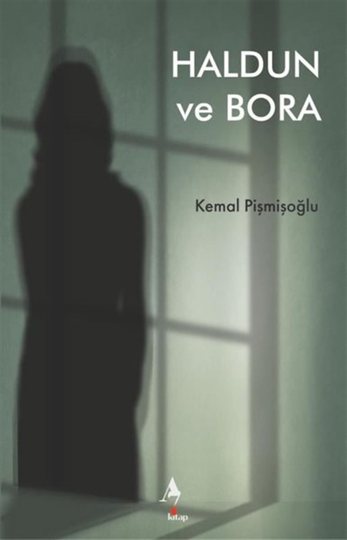 Kemal PişmişoğluTürkiye RomanHaldun ve Bora