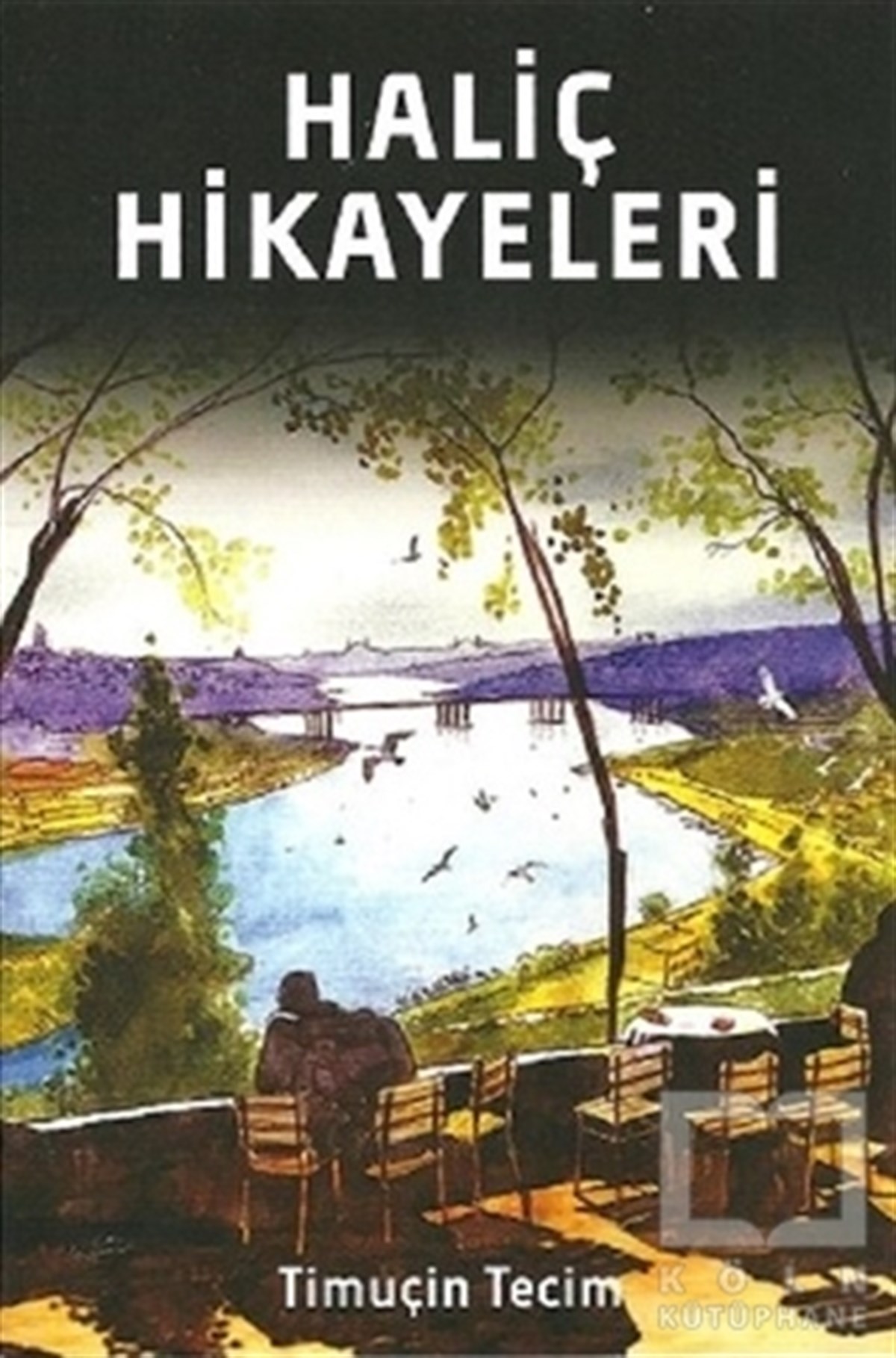 Timuçin TecimÖyküHaliç Hikayeleri