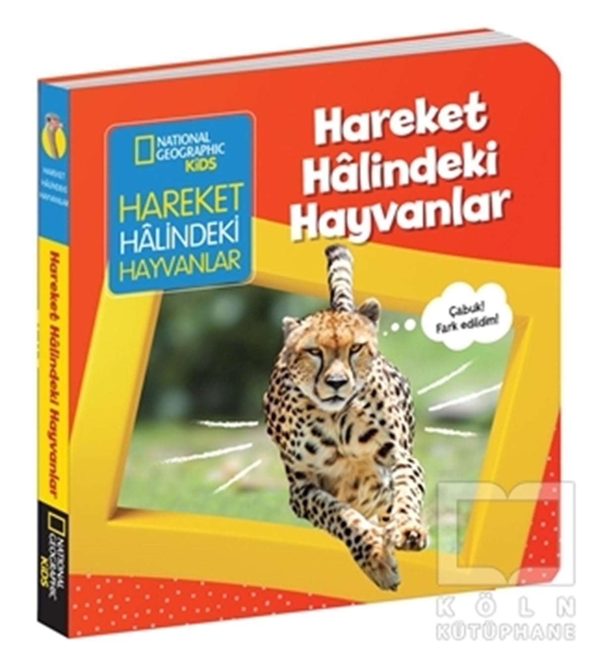 Ruth A. MusgraveBilimsel Çocuk KitaplarıHareket Halindeki Hayvanlar - İlk Kitaplarım Serisi