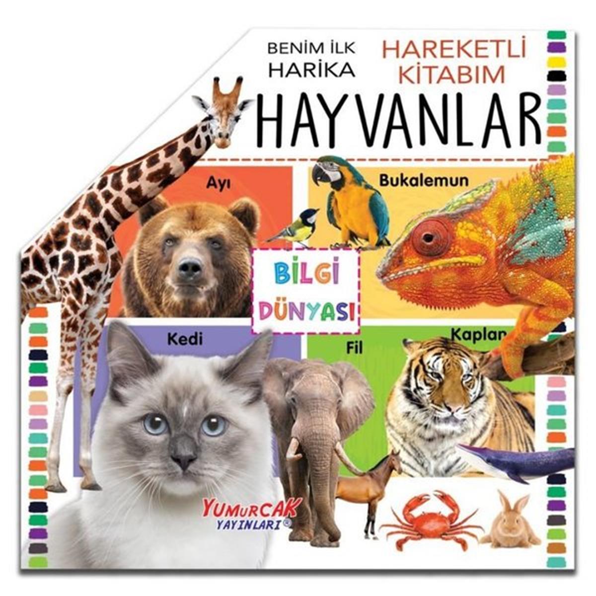 KolektifOkul Öncesi Etkinlik KitaplarıHarika Hayvanlar - Benim İlk Hareketli Kitabım