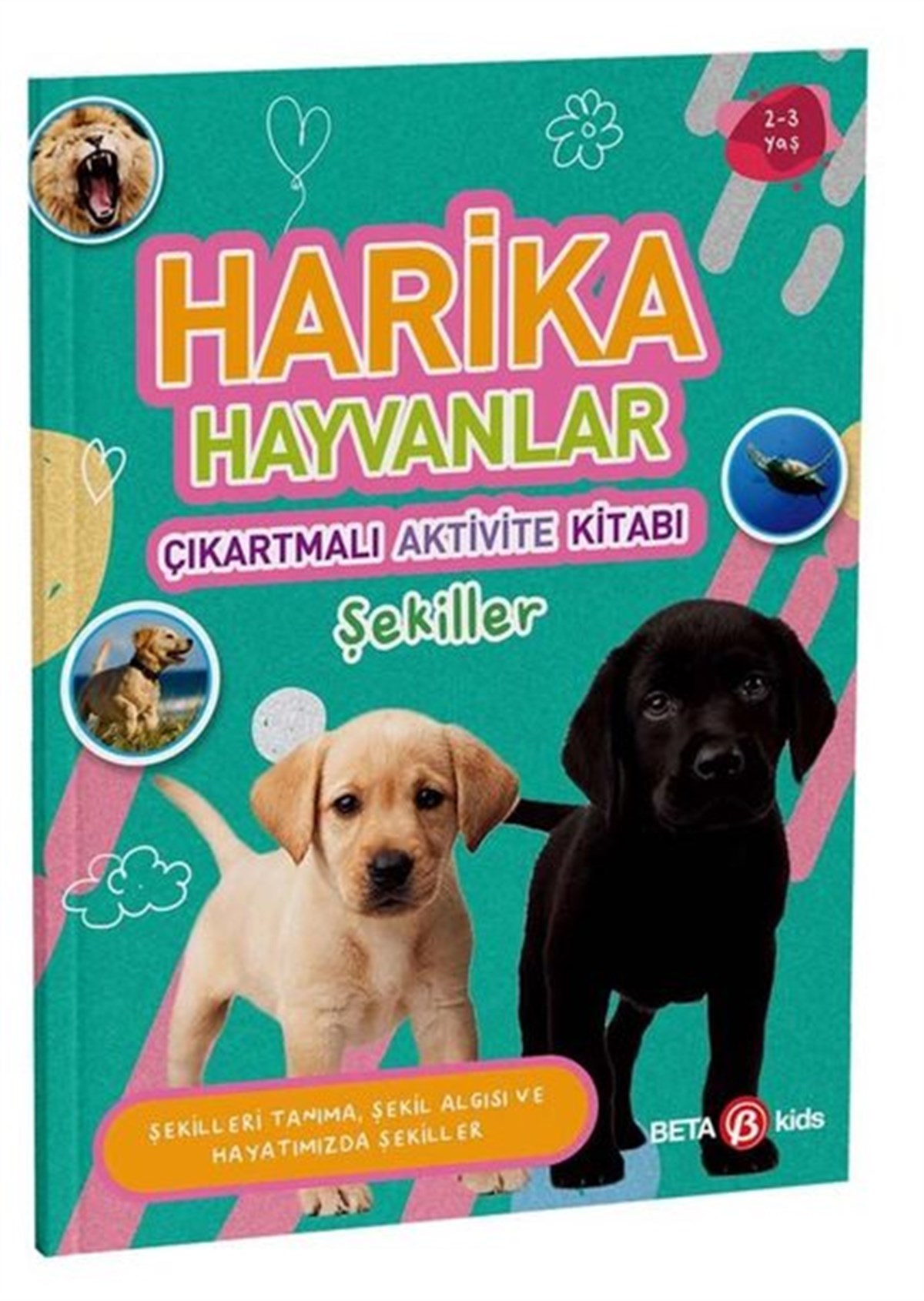 Buket KurtEgitim Etkinlik KitaplariHarika Hayvanlar - Çıkartmalı Aktivite Kitabı