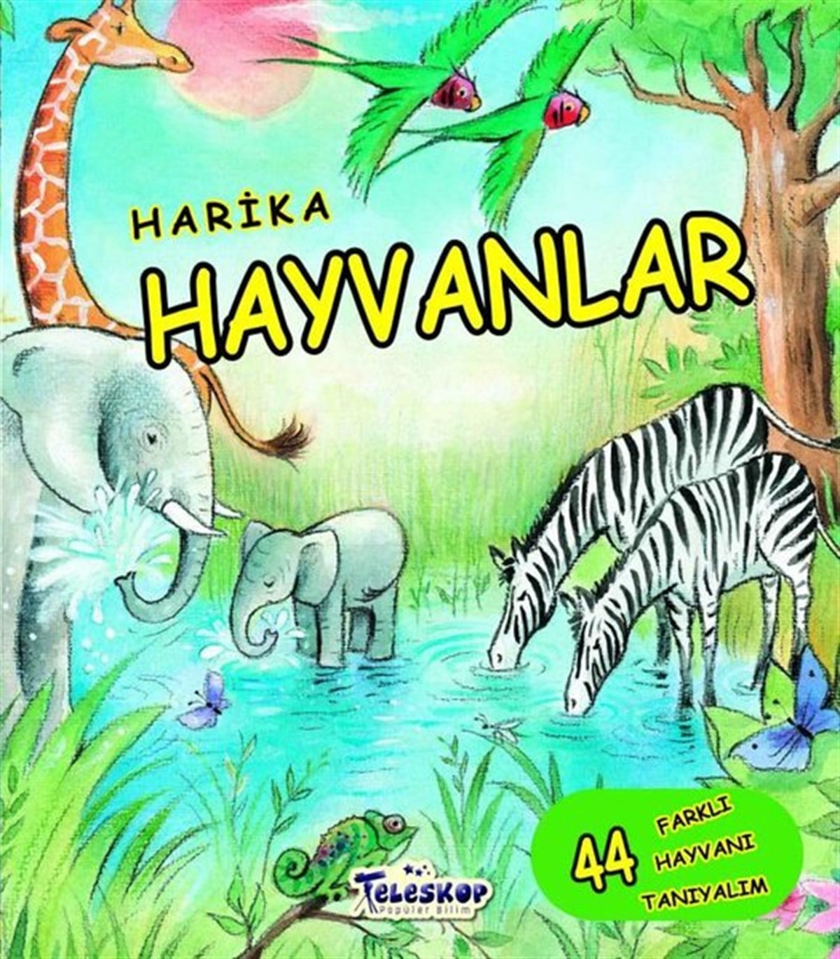 Alejandro AlgarraEtkinlik KitaplarıHarika Hayvanlar