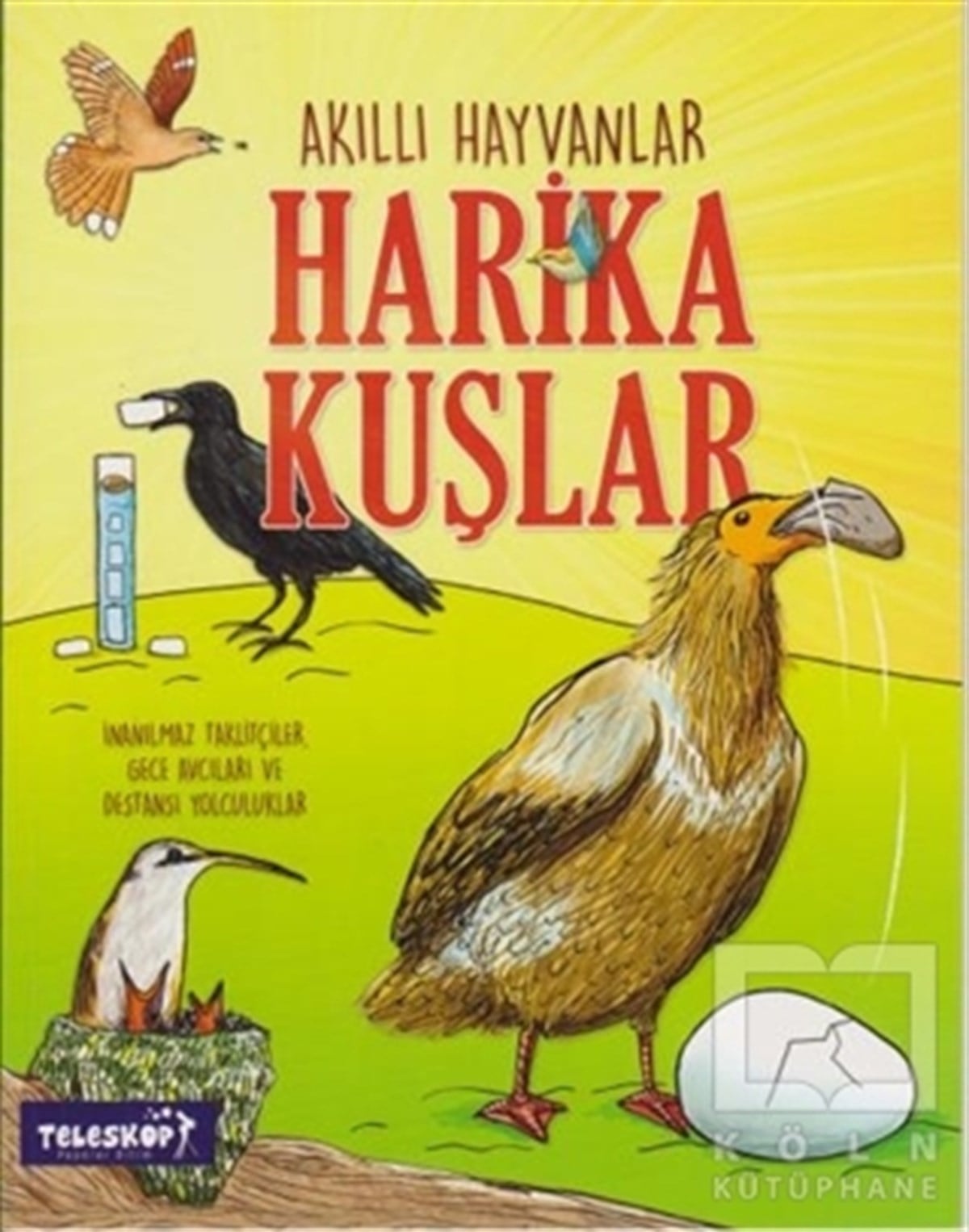 John FarndonBilimsel KitaplarHarika Kuşlar