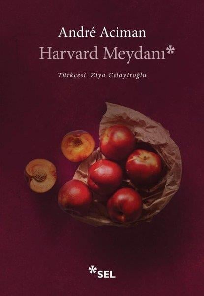 Andre AcimanDünya RomanHarvard Meydanı