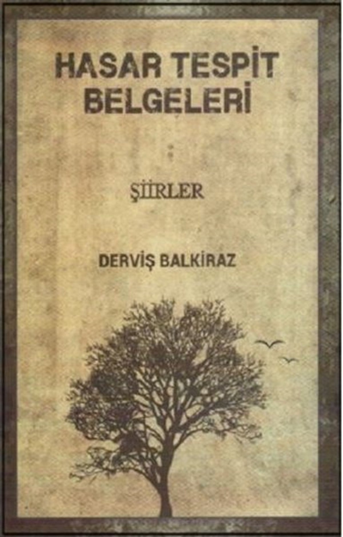 Derviş BalkirazTürk ŞiiriHasar Tespit Belgeleri