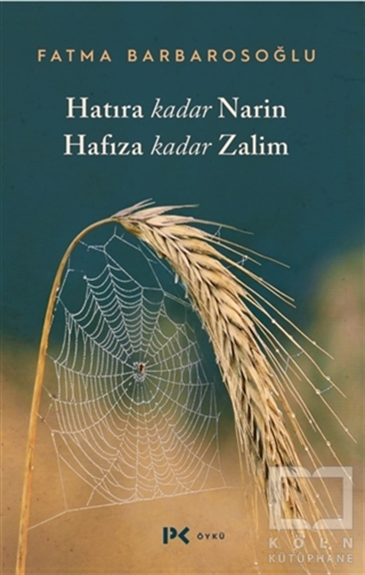 Fatma BarbarosoğluHikaye (Öykü) KitaplarıHatıra Kadar Narin Hafıza Kadar Zalim