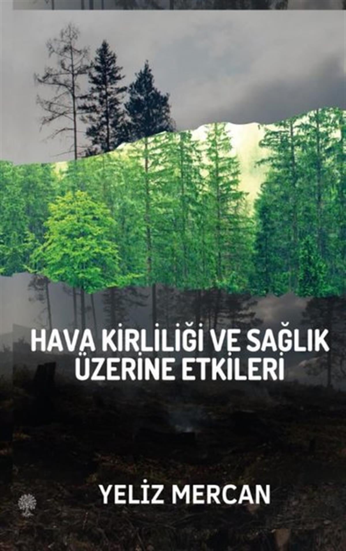 Yeliz MercanÇevre MühendisliğiHava Kirliliği ve Sağlık Üzerine Etkileri