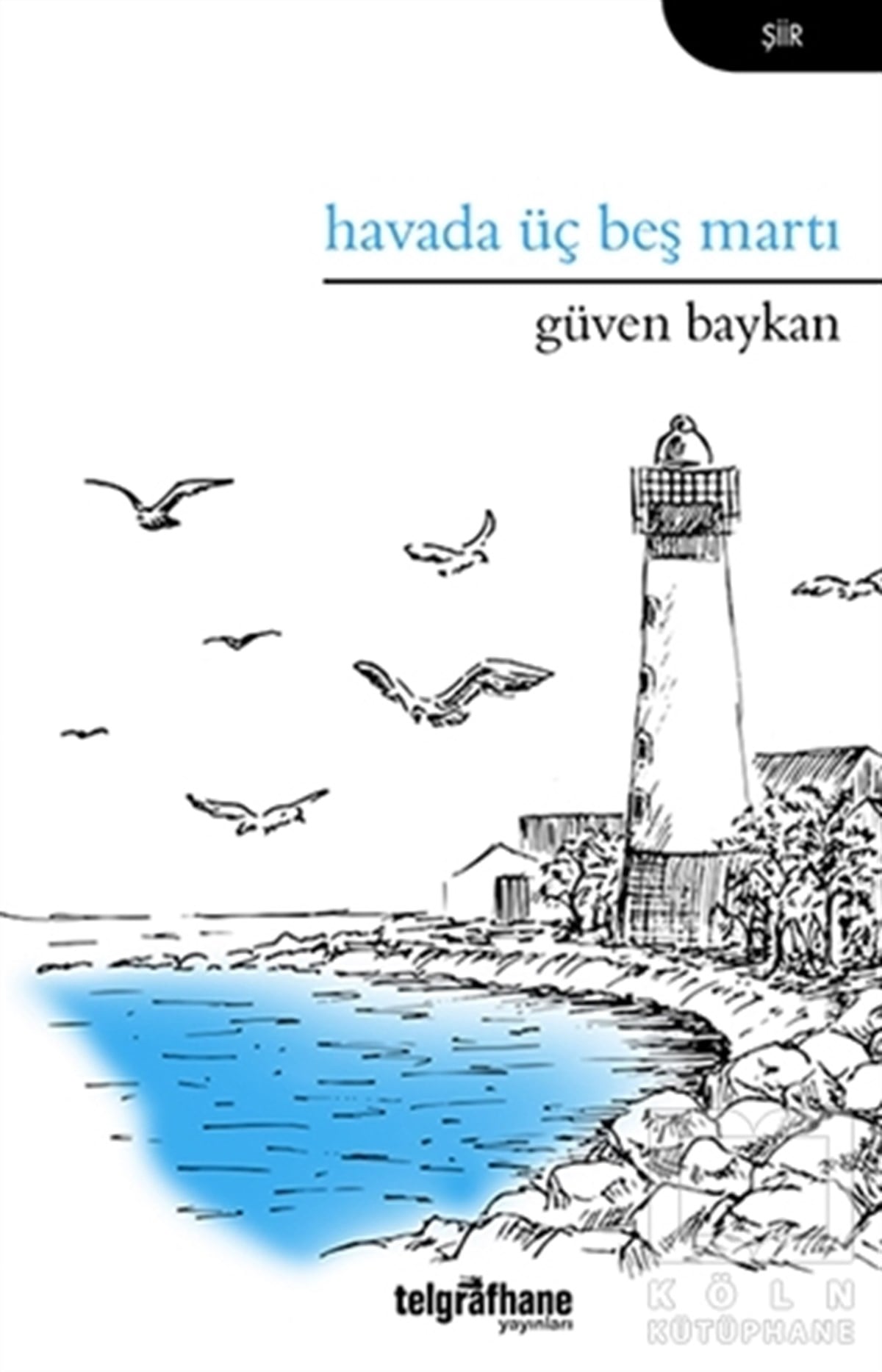 Güven BaykanŞiirHavada Üç Beş Martı