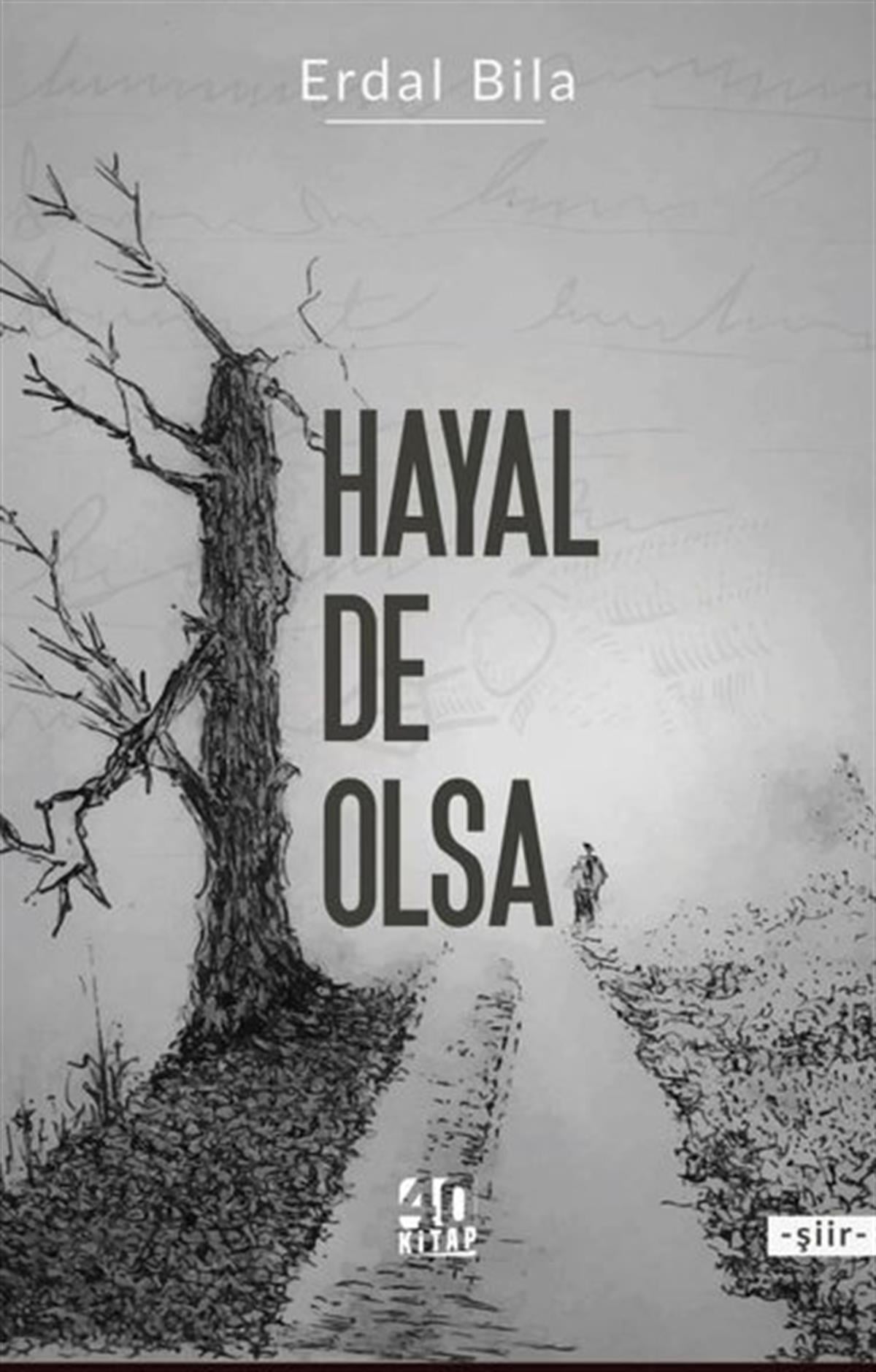 Erdal BilaTürk ŞiiriHayal De Olsa
