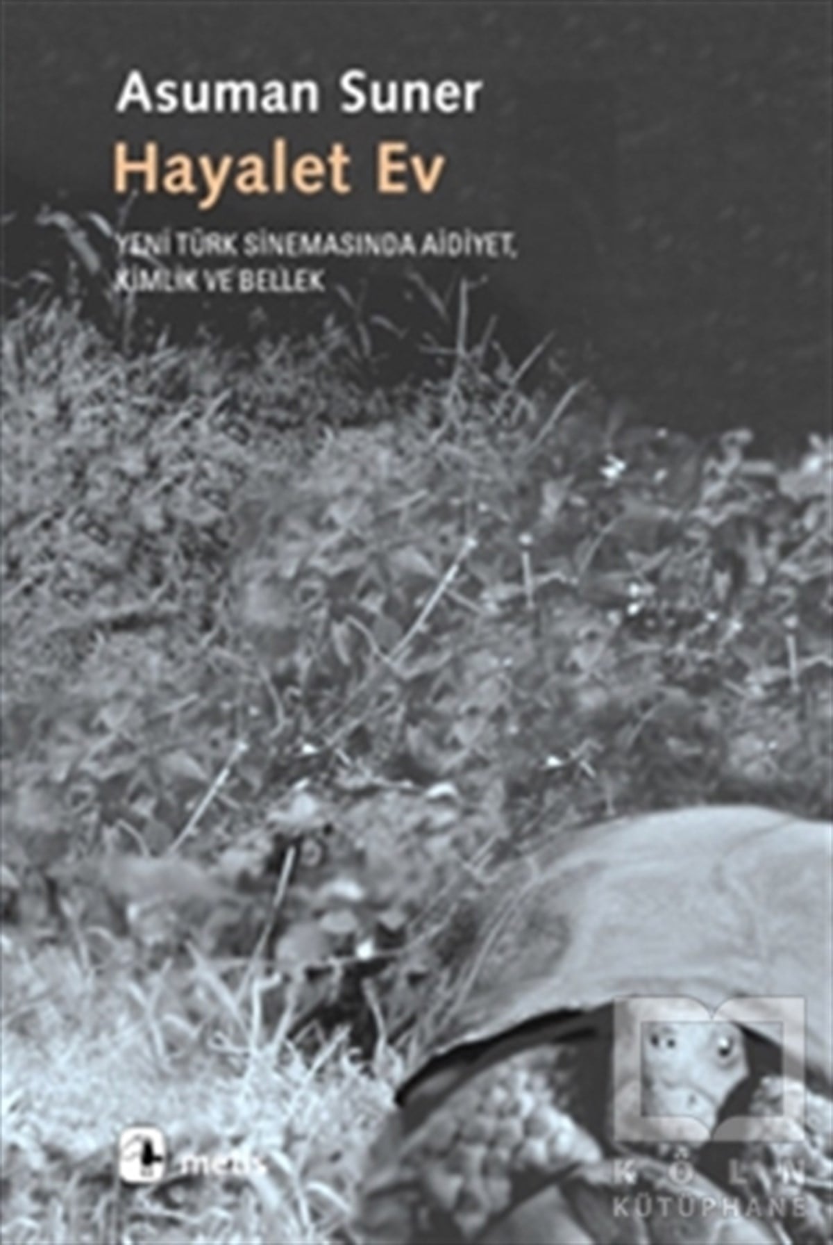 Asuman SunerFotoğraf, Sinema, TiyatroHayalet Ev