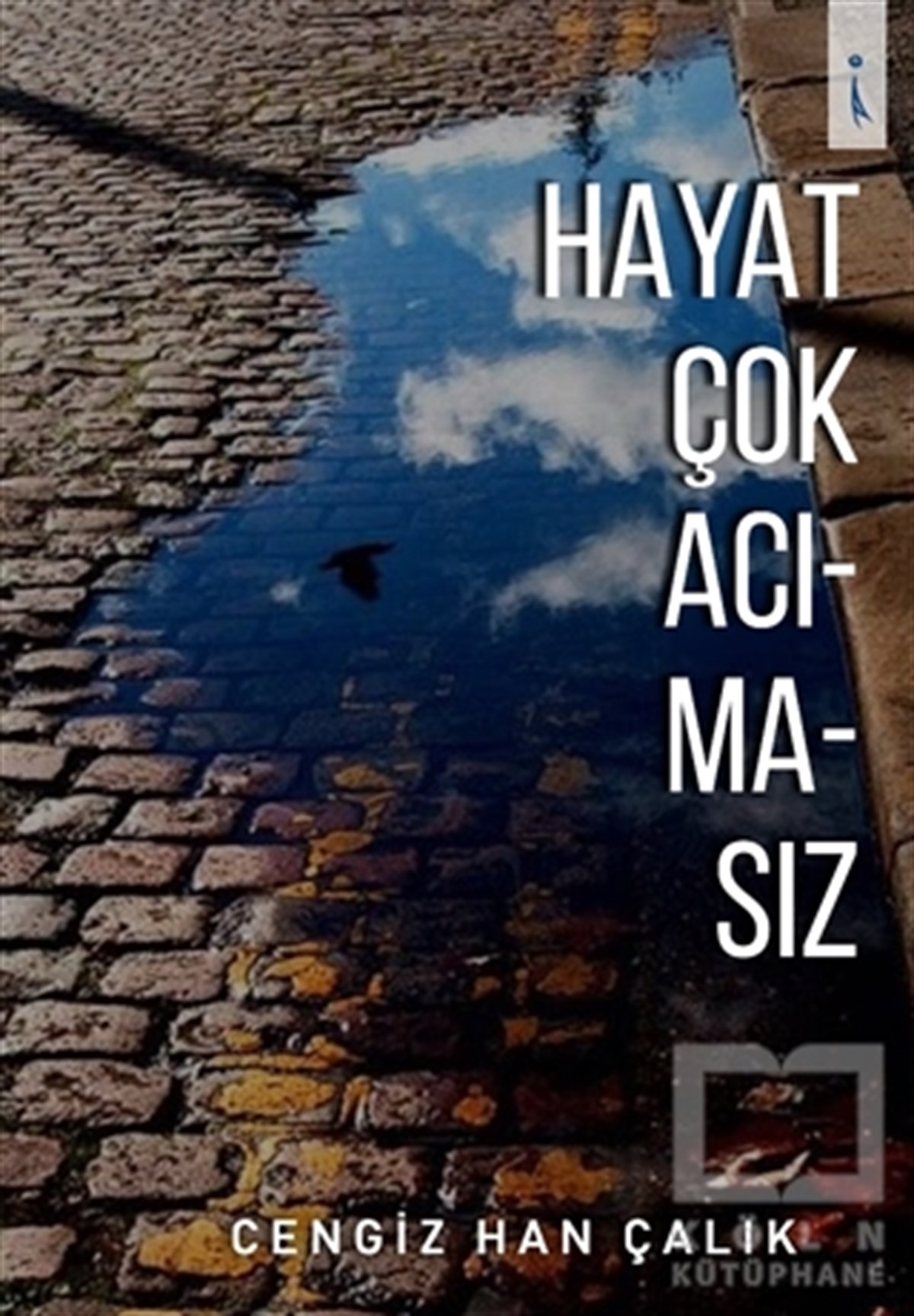 Cengiz Han ÇalıkDenemeHayat Çok Acımasız