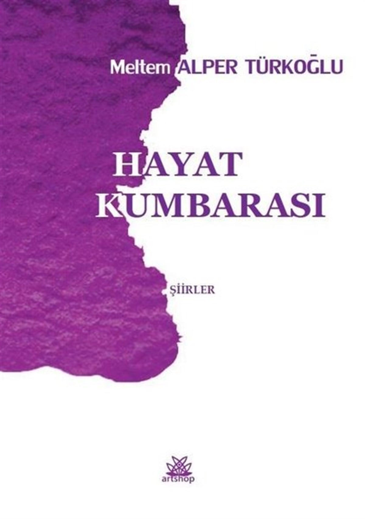 Meltem Alper TürkoğluTürk ŞiiriHayat Kumbarası - Şiirler