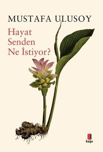Mustafa UlusoyPsikoloji KitaplarıHayat Senden Ne İstiyor?