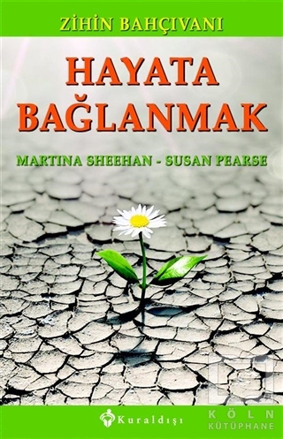 Martina SheehanKişisel GelişimHayata Bağlanmak