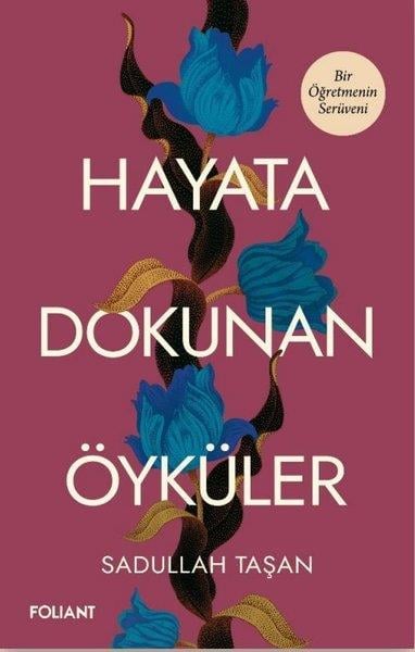 Sadullah TaşanTürk RomaniHayata Dokunan Öyküler - Bir Öğretmenin Serüveni