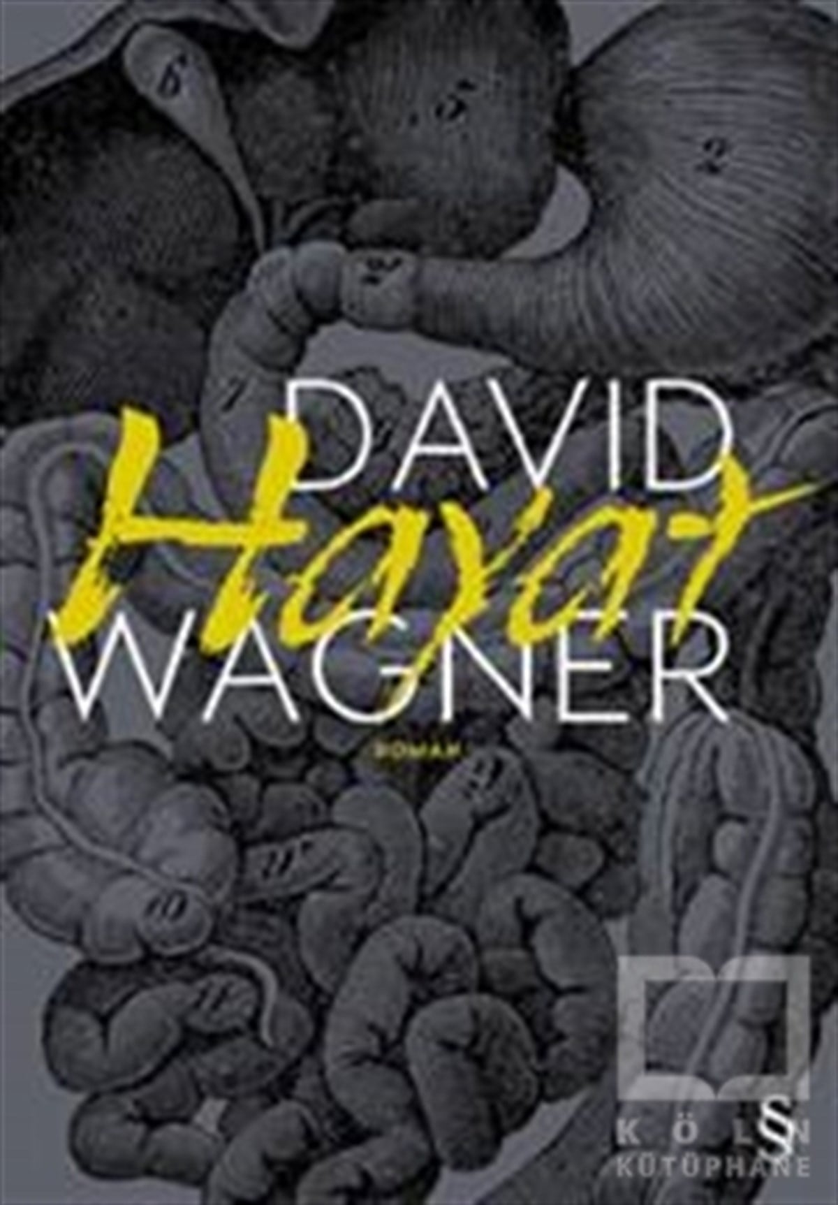 David WagnerRomanHayat