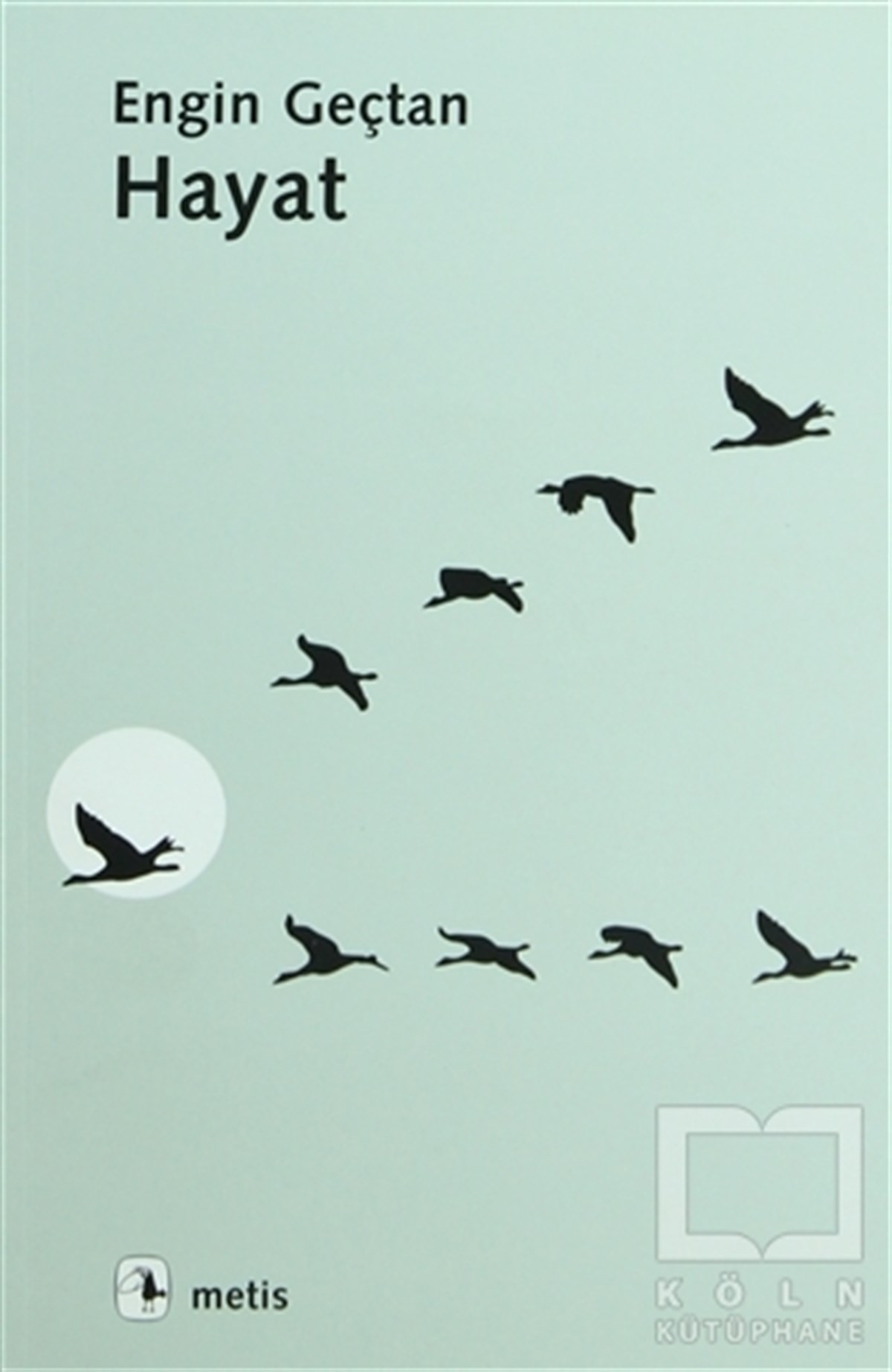 Engin GeçtanDiğerHayat