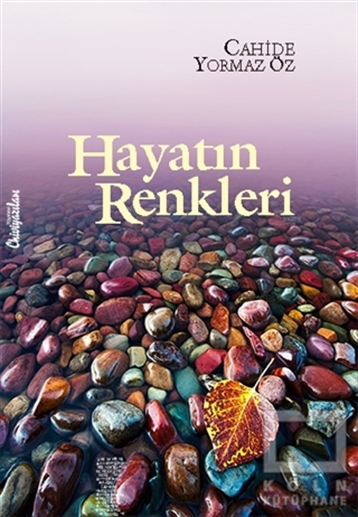 Cahide Yormaz ÖzDenemeHayatın Renkleri