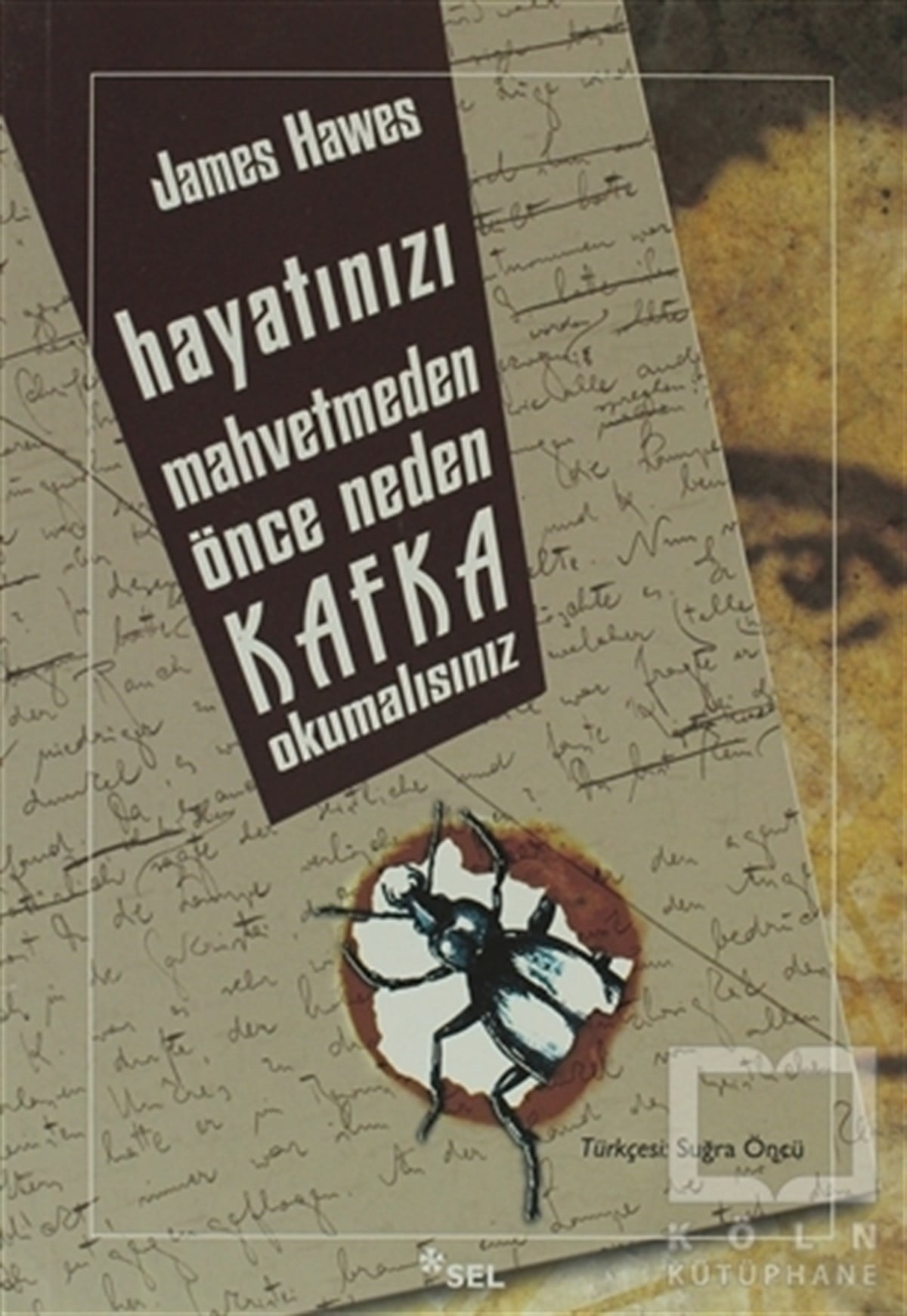 James HawesDenemeHayatınızı Mahvetmeden Önce Neden Kafka Okumalısınız