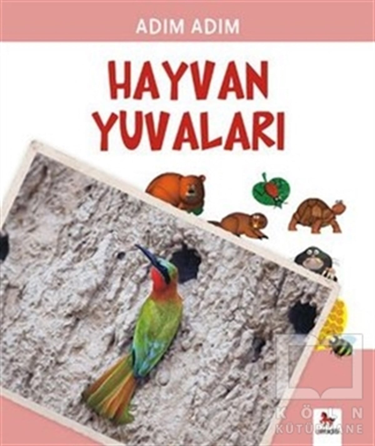 Fiametta DogiDiğerHayvan Yuvaları