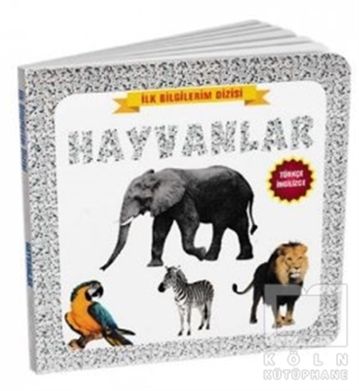KolektifEtkinlik KitaplarıHayvanlar - İlk Bilgilerim Dizisi