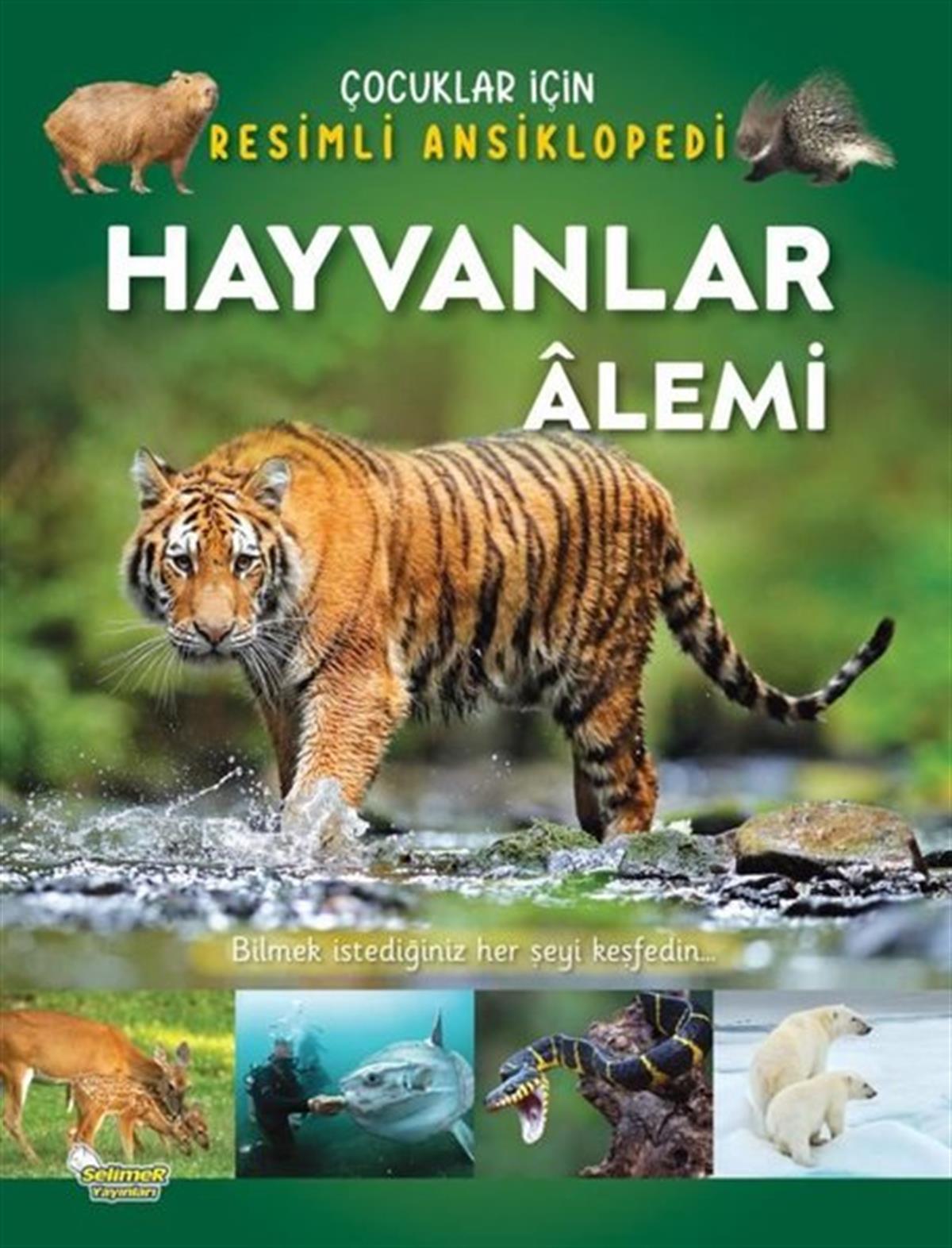 KolektifÇocuk Bilim KitaplarıHayvanlar Alemi - Çocuklar İçin Resimli Ansiklopedi