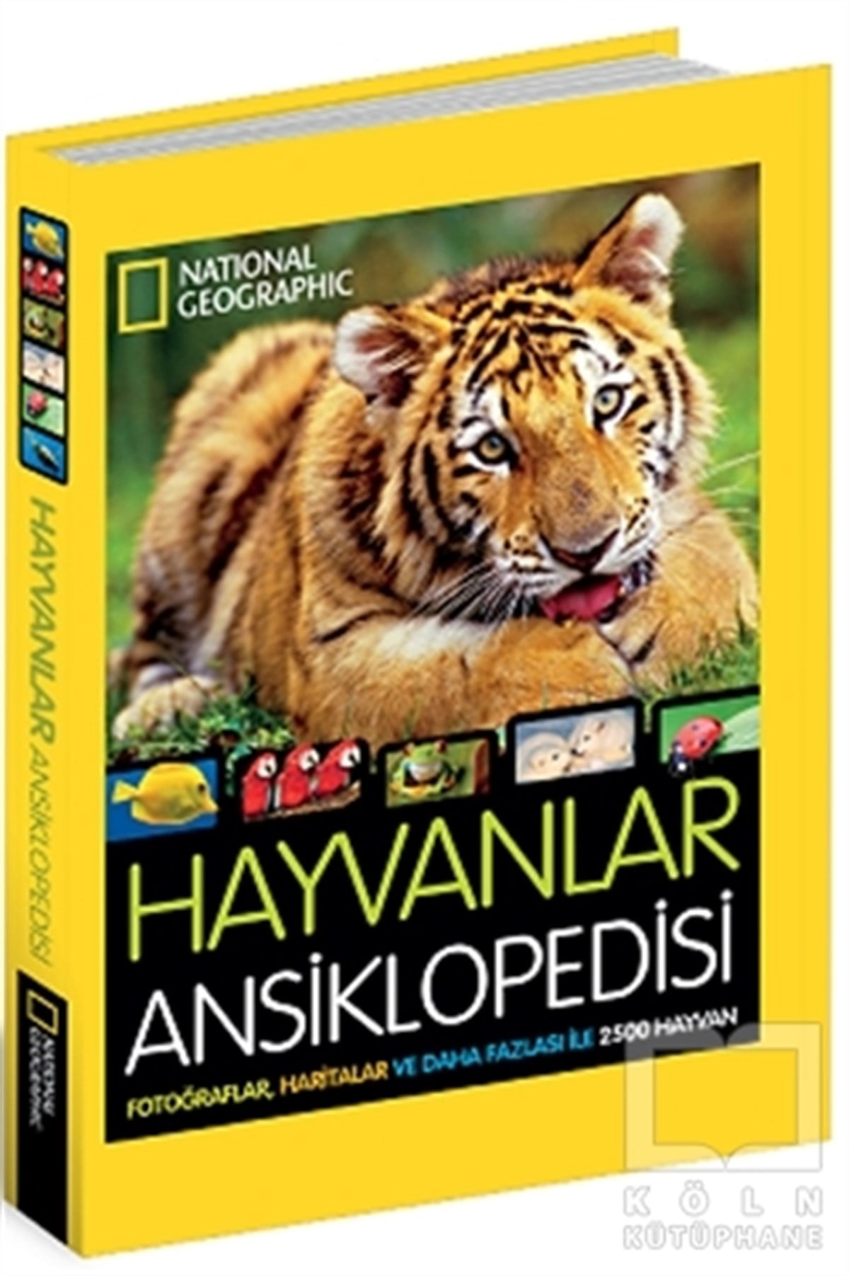 Lucy SpelmanDiğerHayvanlar Ansiklopedisi