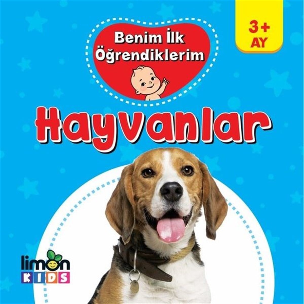 KolektifÇocuk Gelisim KitaplariHayvanlar-Benim İlk Öğrendiklerim 3+Ay