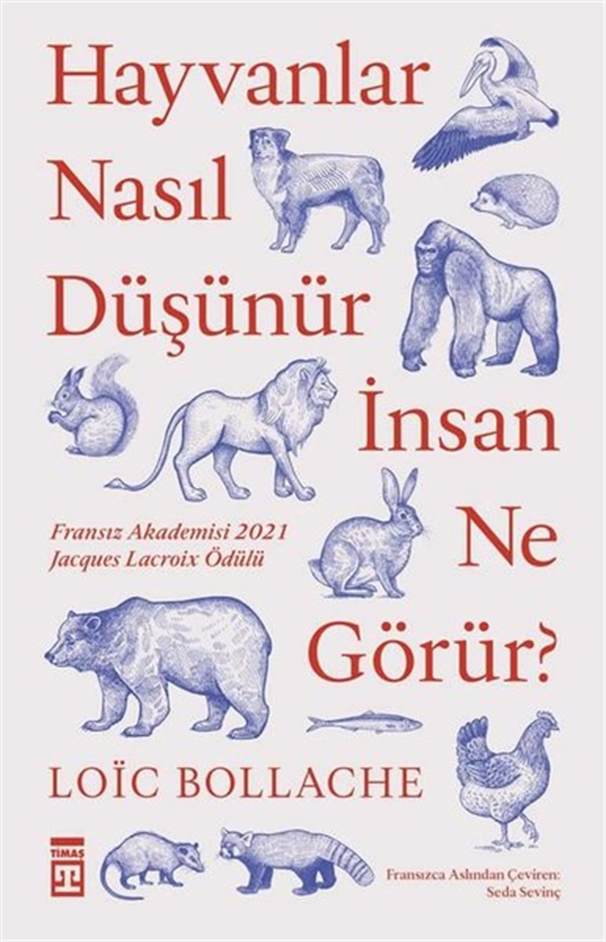 Loic BollachePopüler Bilim KitaplarıHayvanlar Nasıl Düşünür İnsanlar Ne Görür?
