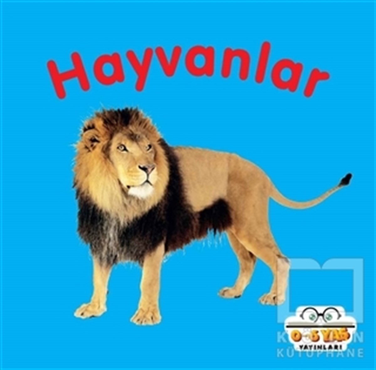 Ahmet AltayEtkinlik KitaplarıHayvanlar