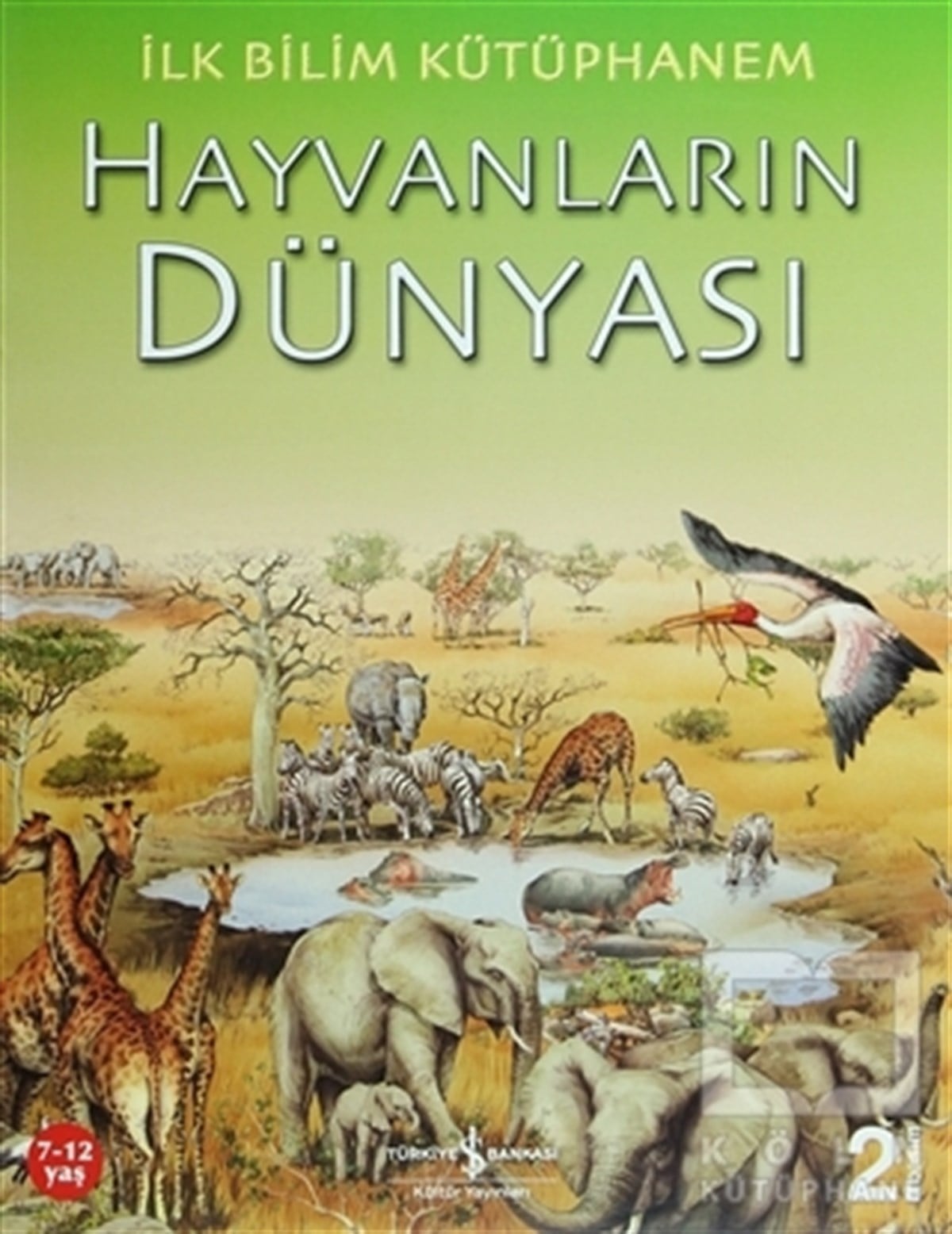 KolektifBilimsel KitaplarHayvanların Dünyası