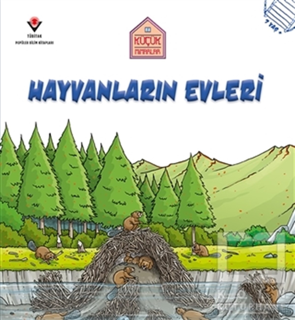 Saranne TaylorBilimsel KitaplarHayvanların Evleri - Küçük Mimarlar