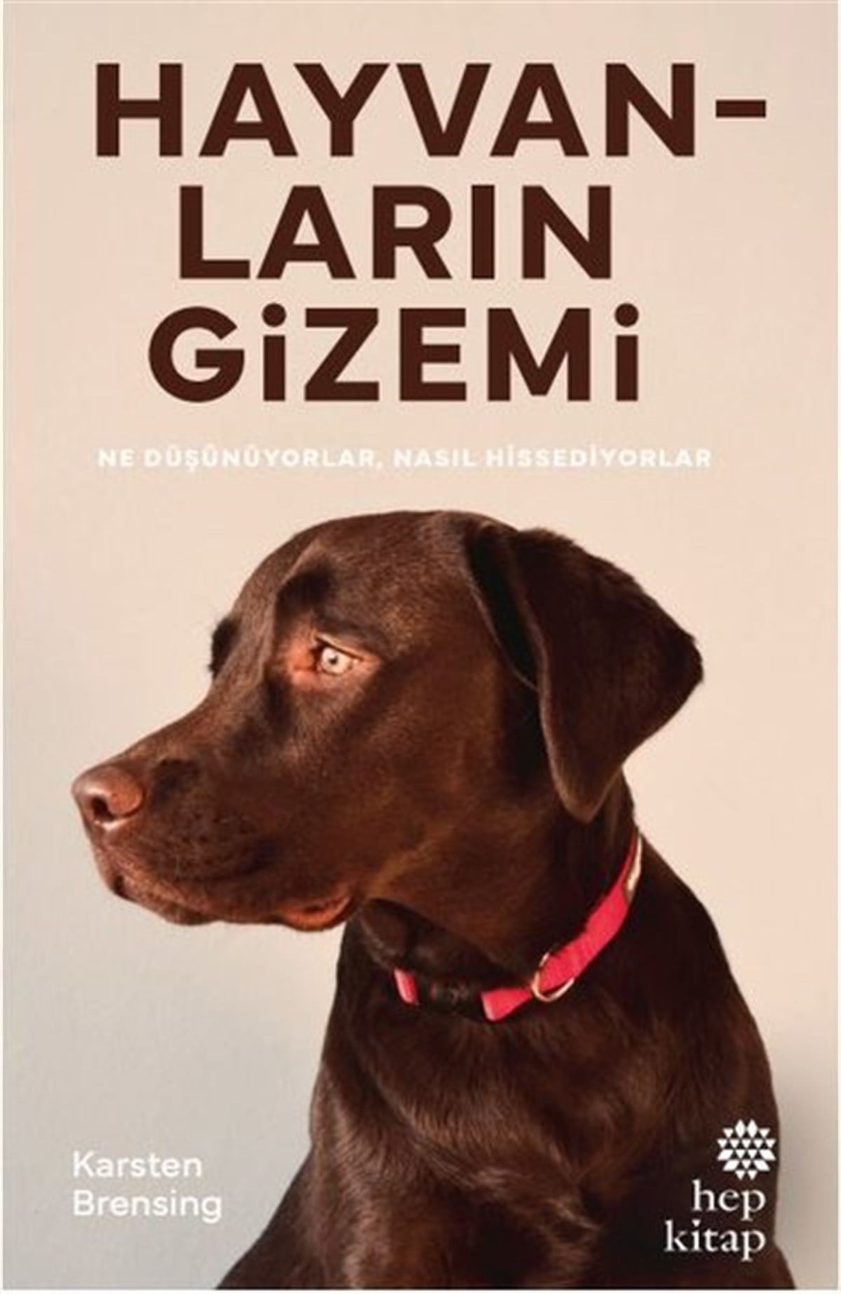 Karsten BrensingPopüler Bilim KitaplarıHayvanların Gizemi