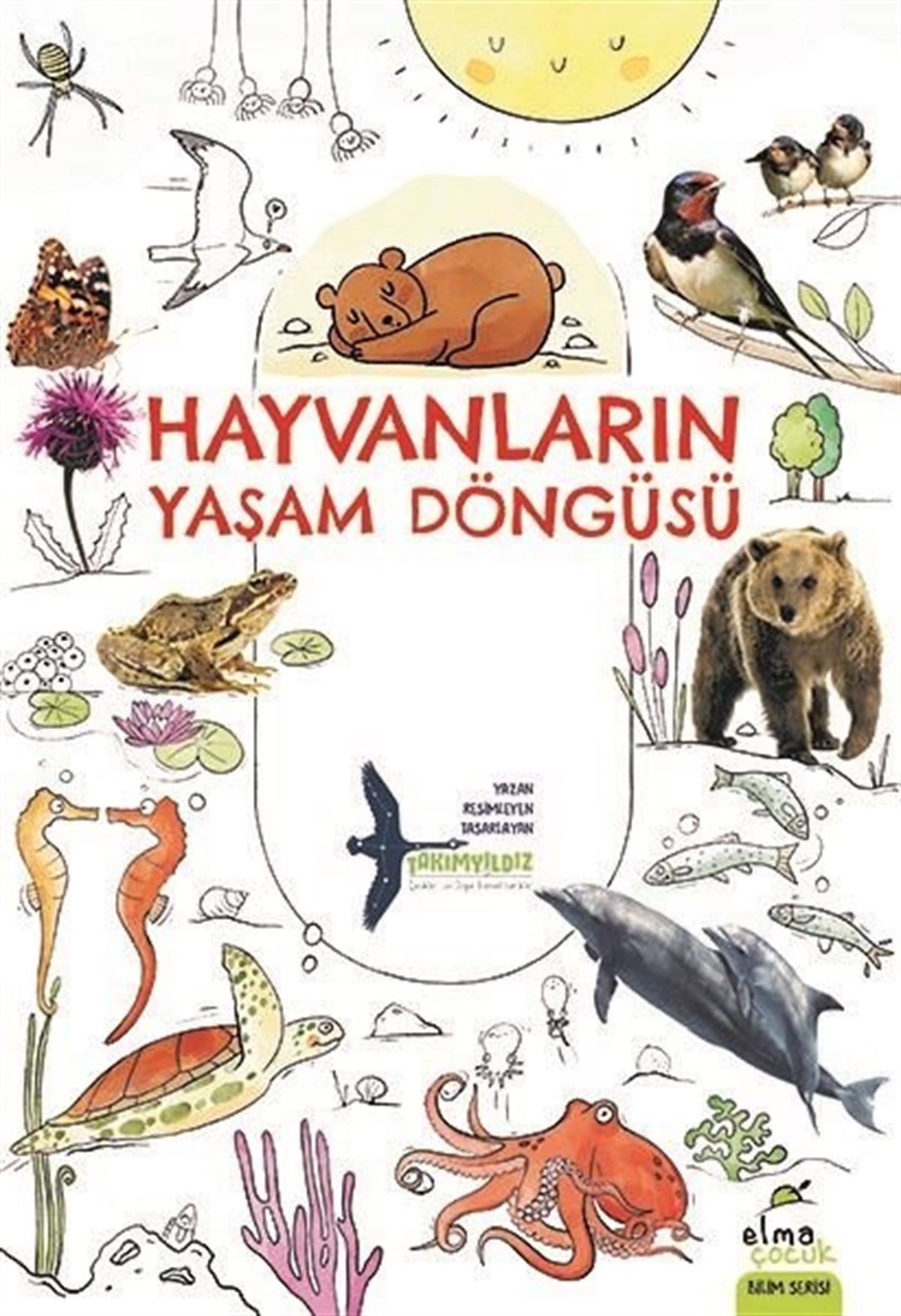 TakımyıldızPopüler Bilim KitaplarıHayvanların Yaşam Döngüsü