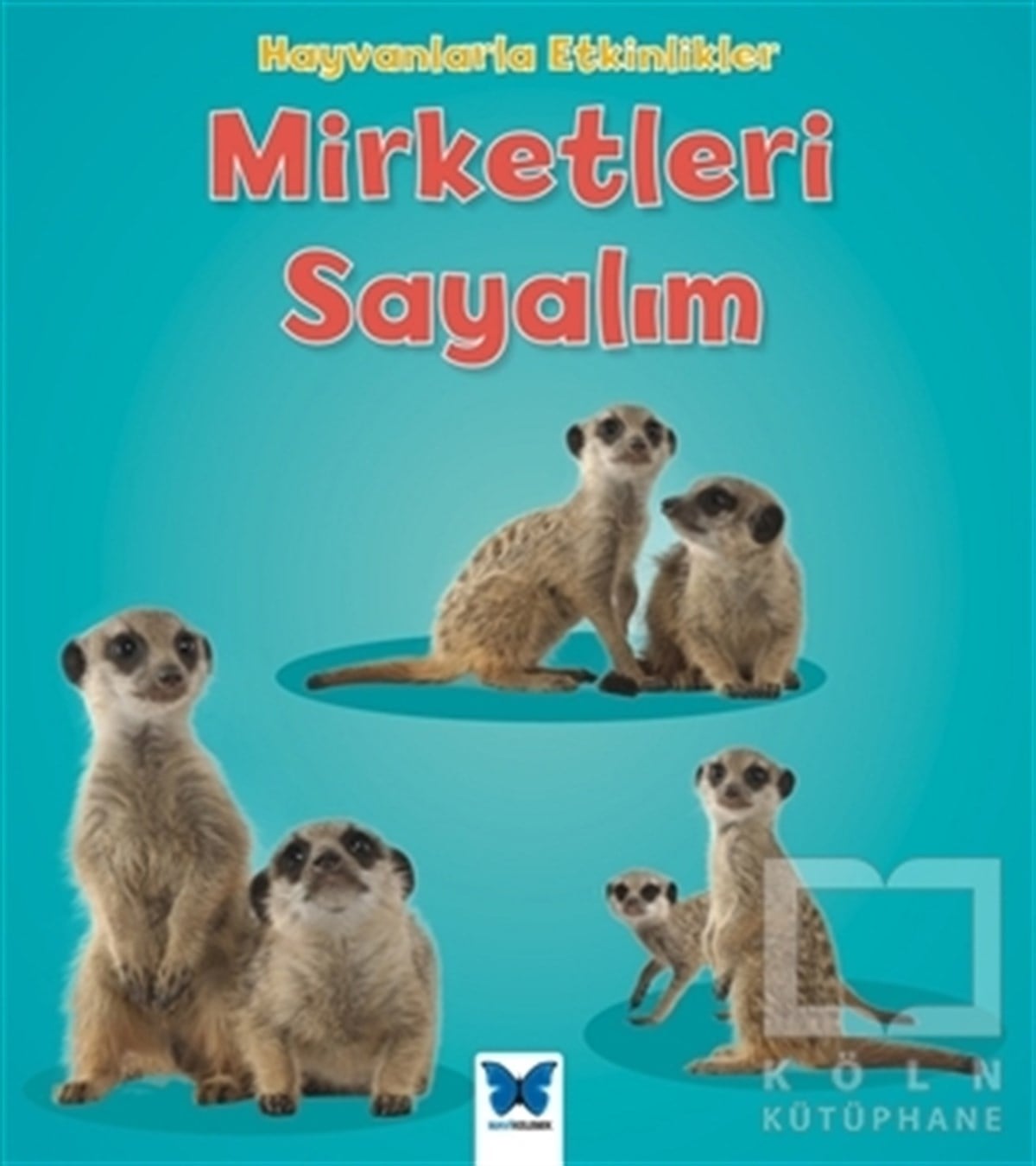 Tracey StefforaDiğerHayvanlarla Etkinlikler - Mirketleri Sayalım