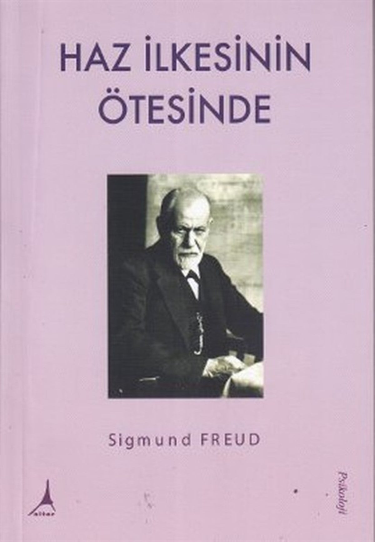 Emir AktanPsikoloji BilimiHaz İlkesinin Ötesinde