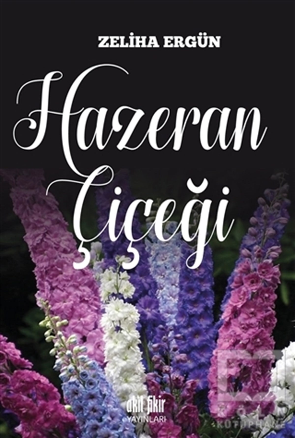 Zeliha ErgünHikaye (Öykü) KitaplarıHazeran Çiçeği