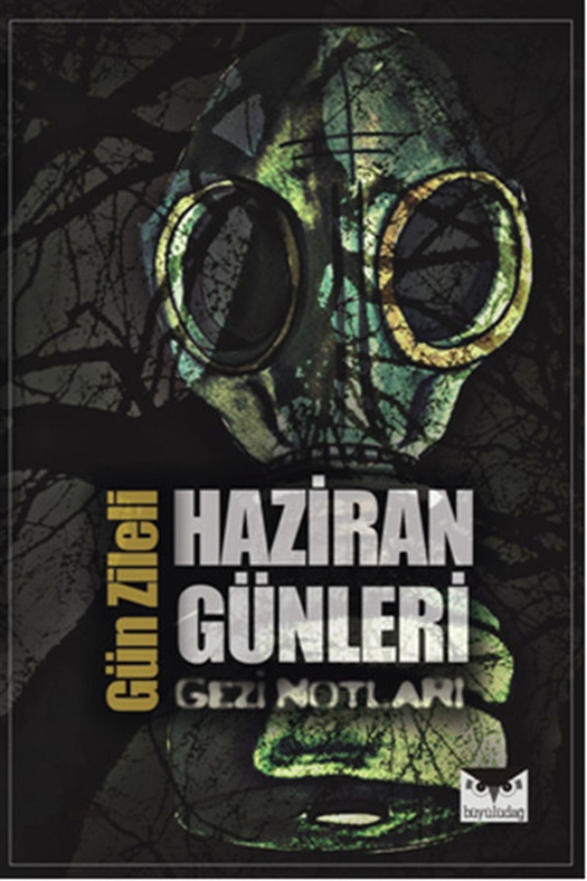 Gün ZileliTürkiye Siyaseti ve Politikası KitaplarıHaziran Günleri
