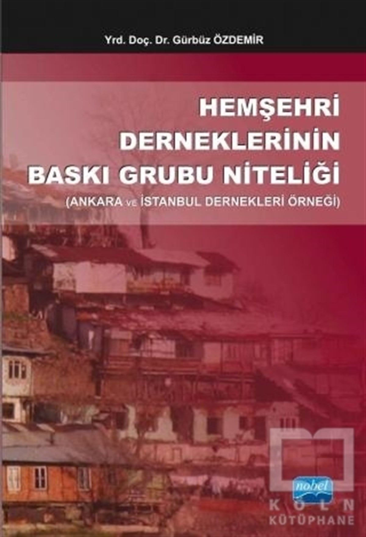Gürbüz ÖzdemirSivil Toplum KuruluşlarıHemşehri Derneklerinin Baskı Grubu Niteliği