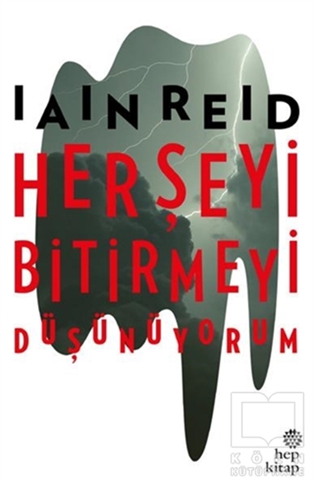 İain ReidPolisiyeHer Şeyi Bitirmeyi Düşünüyorum