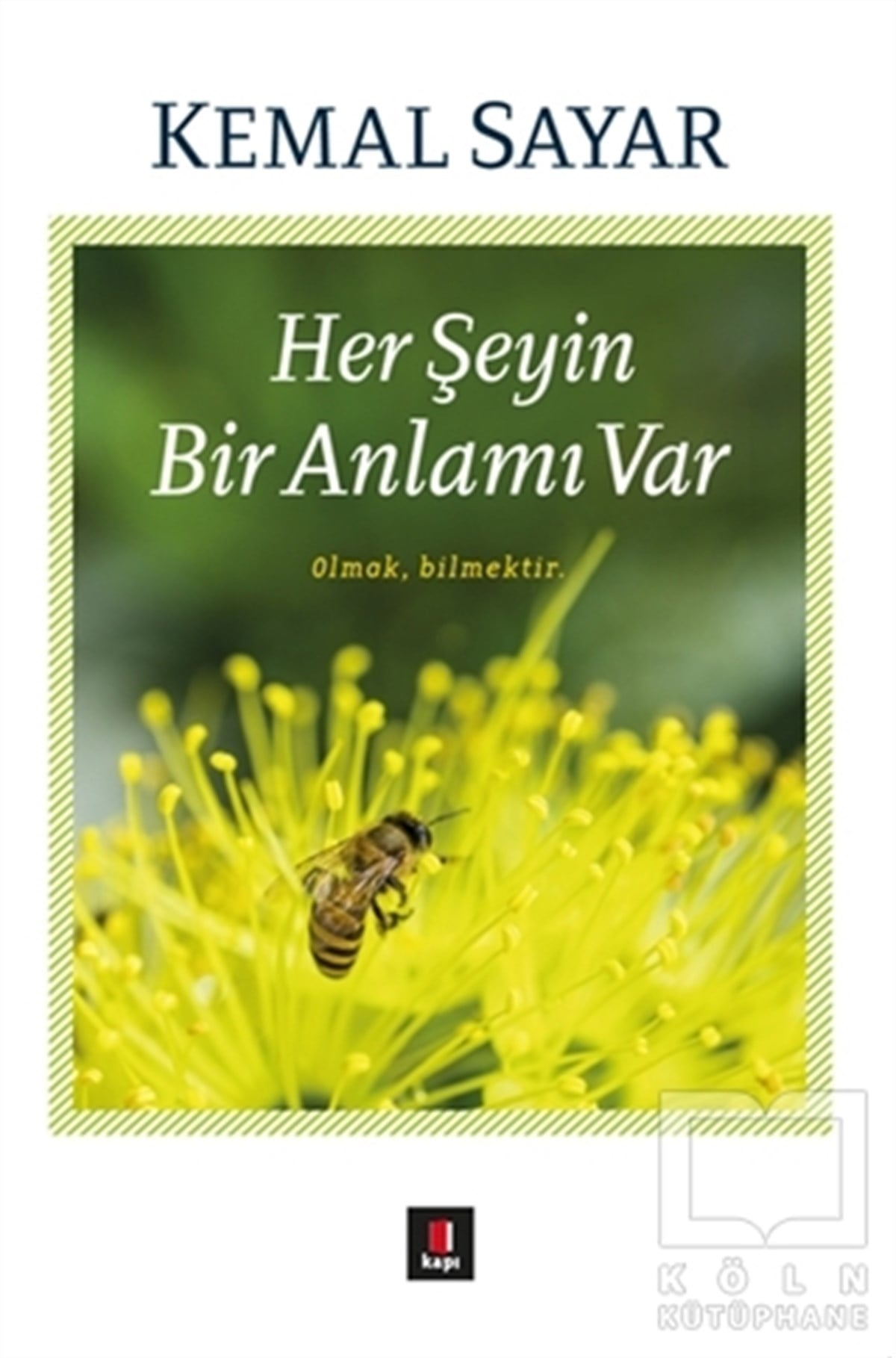 Kemal SayarKişisel GelişimHer Şeyin Bir Anlamı Var
