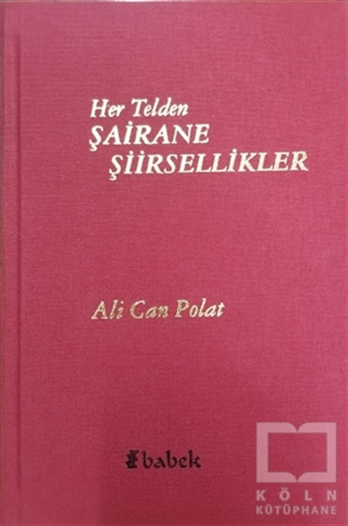 Ali Can PolatŞiirHer Telden Şairane Şiirsellikler