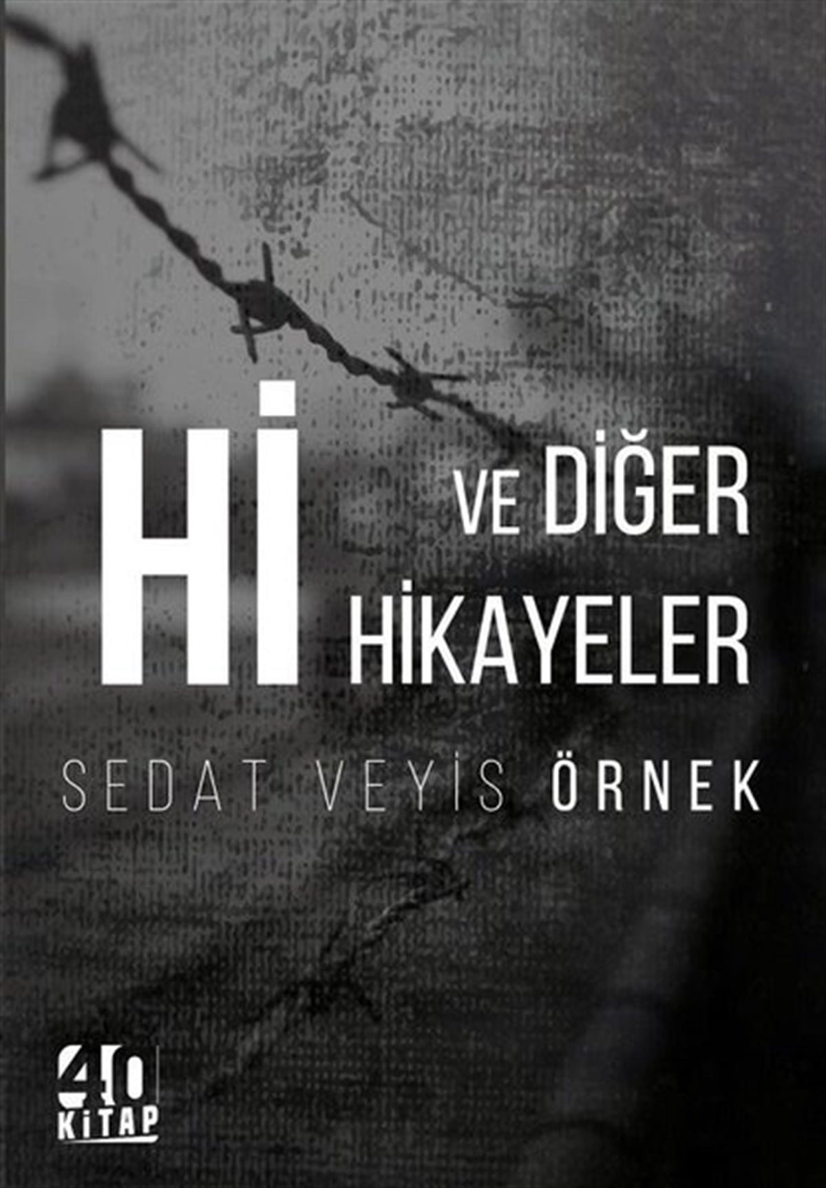 Sedat Veyis ÖrnekTürkiye RomanHi ve Diğer Hikayeler