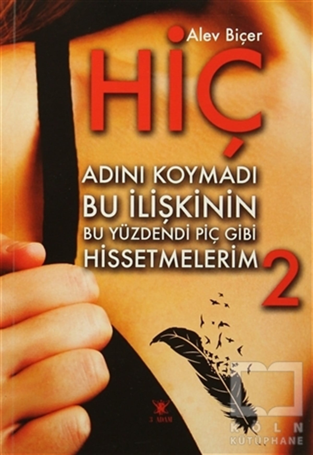 Alev BiçerRomanHiç 2