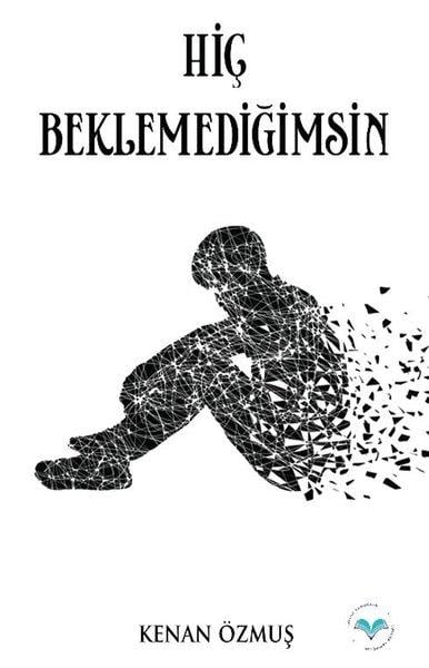 Kenan ÖzmuşTürk RomaniHiç Beklemediğimsin