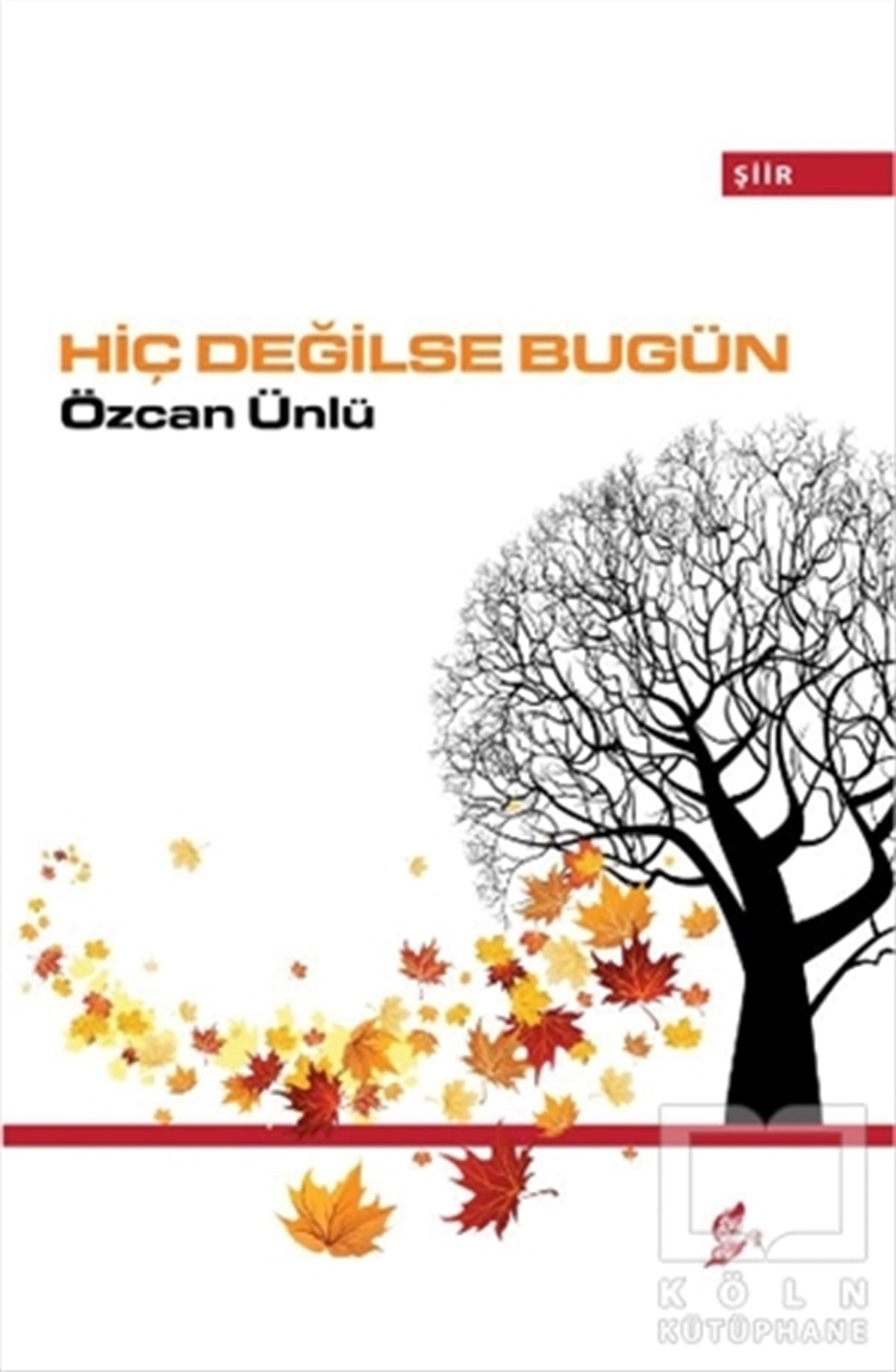 Özcan ÜnlüŞiirHiç Değilse Bugün