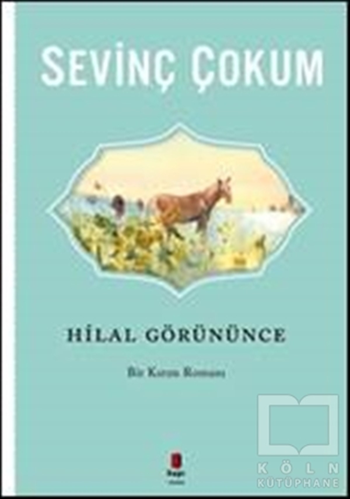 Sevinç ÇokumRomanHilal Görününce